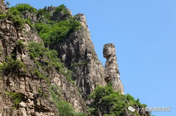 微信截图_20180710172732.png