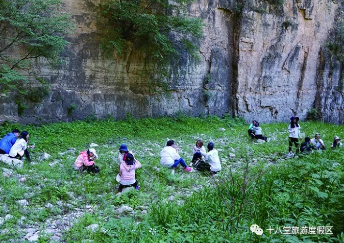 微信截图_20180710172851.png